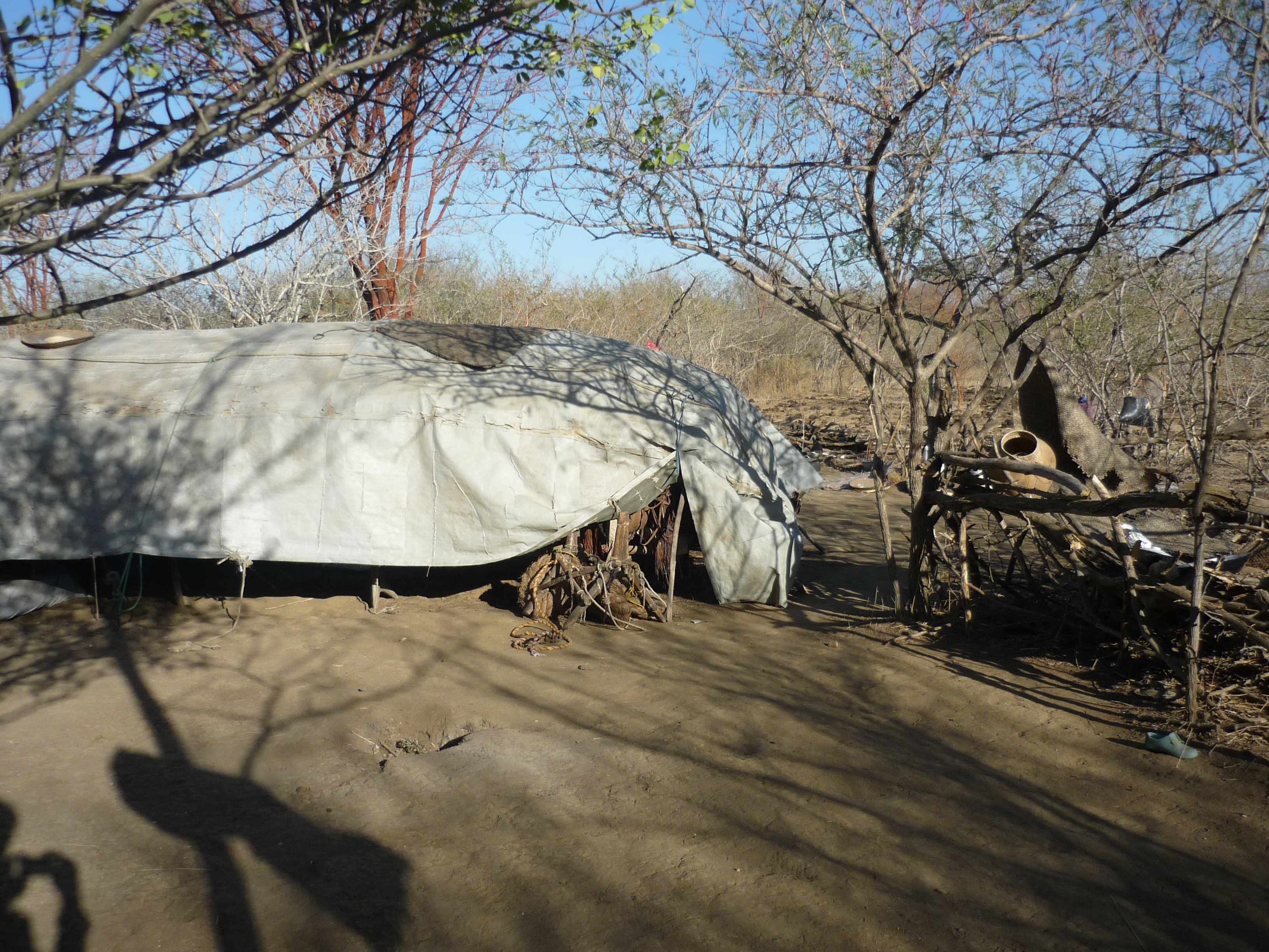 A typical nomadic camp or "ferikh", Central Chad