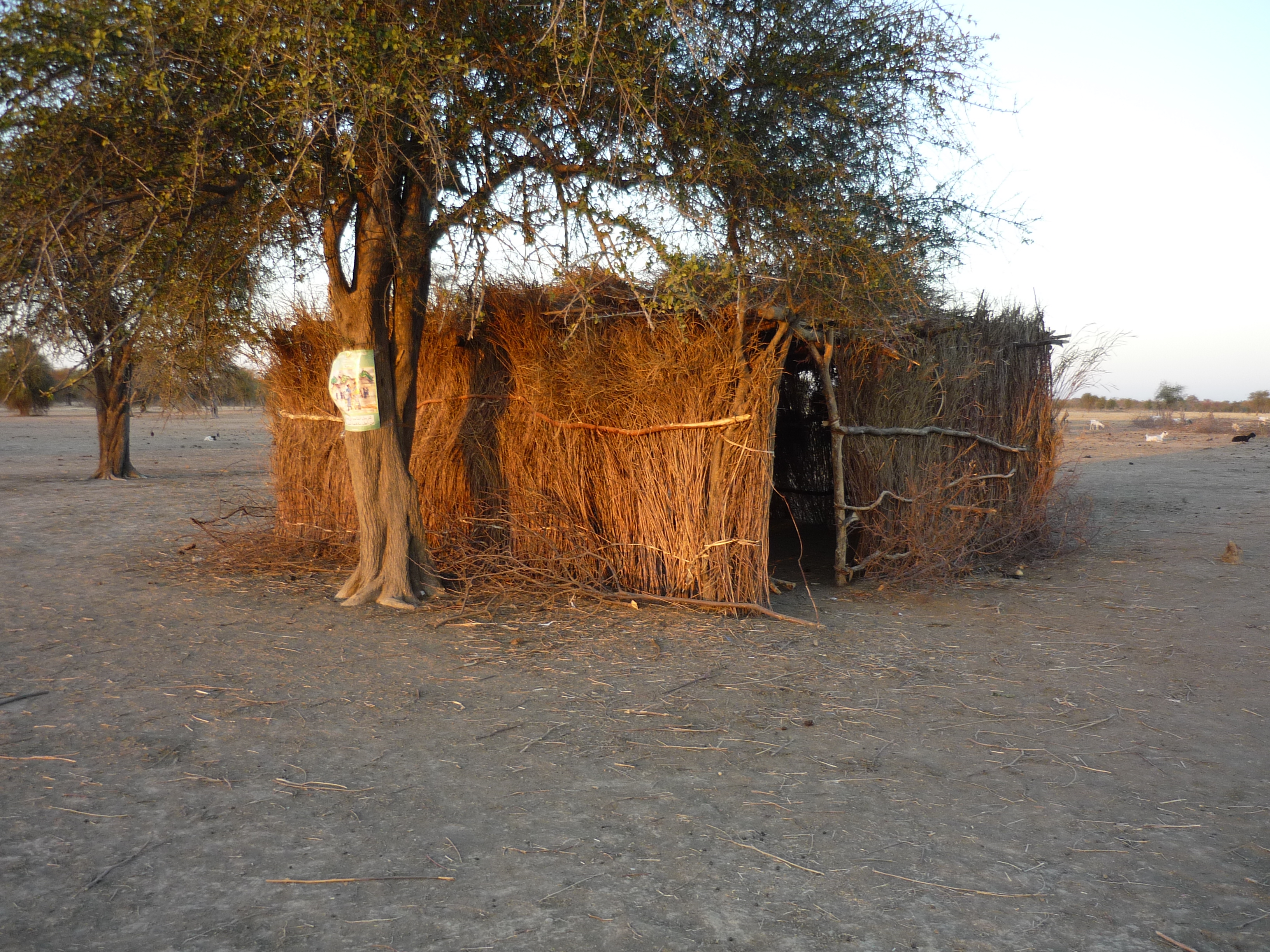 The first school building, permanent nomadic village, Central Chad