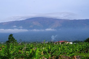 Mount Cameroon
